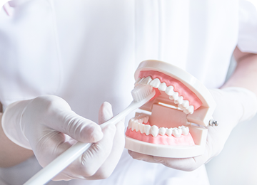 幅広い治療科目の提供