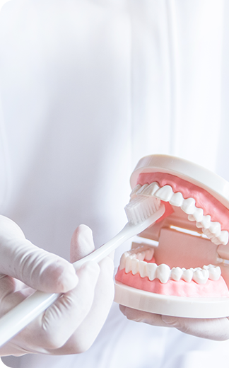 幅広い治療科目の提供